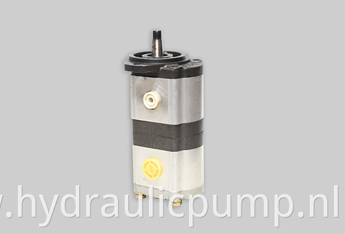 Double Gear Pump